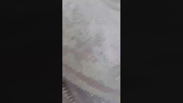 PlayB0yGuy  05-04-2022